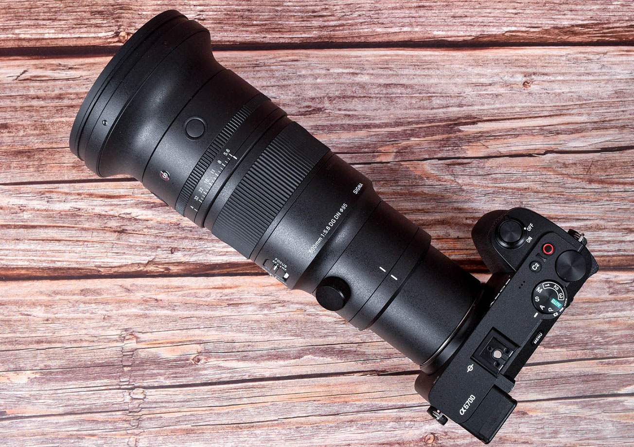 500mm F5.6 DG DN OS | Sports