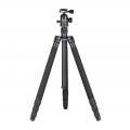 LVG T-254+SK350