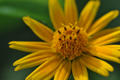 ῵ AF 70-180/4.5-5.6 D ED Micro Ƭ