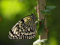 ְ˹ M.ZD 75-300/4.8-6.7 ED Ƭ