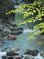 ְ˹ M.ZD 75/1.8 ED Ƭ