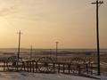 ְ˹ ZD 12-60/2.8-4 ED SWD Ƭ