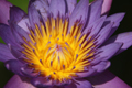 DC 18-250/3.5-6.3 OS HSM Ƭ