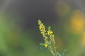  EX DG 180/2.8 APO MACRO OS HSM Ƭ