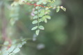  EX DG 180/2.8 APO MACRO OS HSM Ƭ