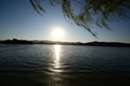 ˾ Distagon T* 15/2.8 Ƭ