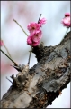 ῵ AF 180/2.8 D IF-ED ĵ