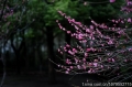 ῵ AF 35-70/2.8 D ĵ