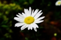  SMC DA 35/2.8 Macro Limited ĵ