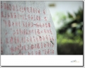 ⿨ R 180/3.4 APO-Telyt ĵ