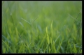 ῵ AI-S 50/1.8 ĵ