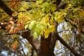  EF 24-85/3.5-4.5 USM ĵ